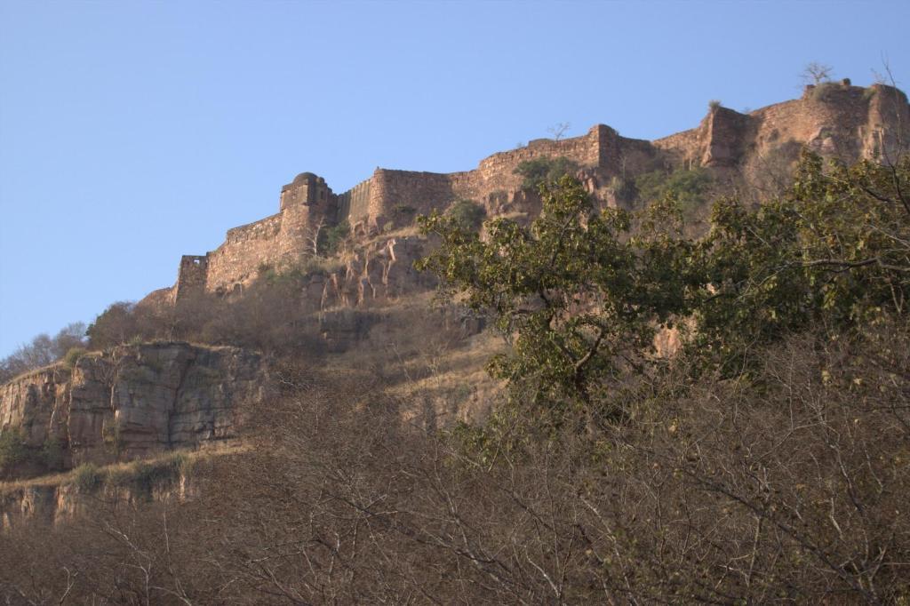 Green View Bed and Breakfast Sawai Madhopur Buitenkant foto